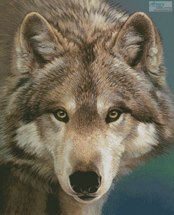 (image for) The Eyes of a Hunter